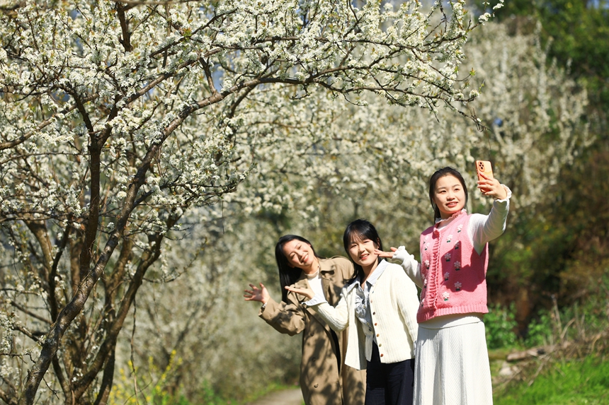 游客在劍河縣柳川鎮鎮江村賞花拍照。劍河縣融媒體中心供圖