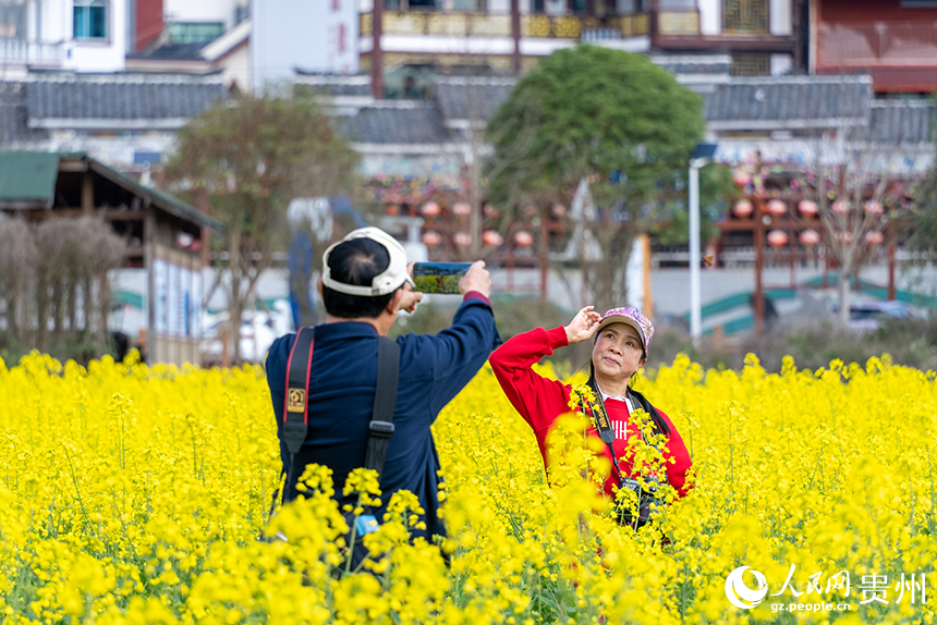 游客在馬頭村油菜花田內(nèi)打卡拍照。人民網(wǎng)記者 涂敏攝
