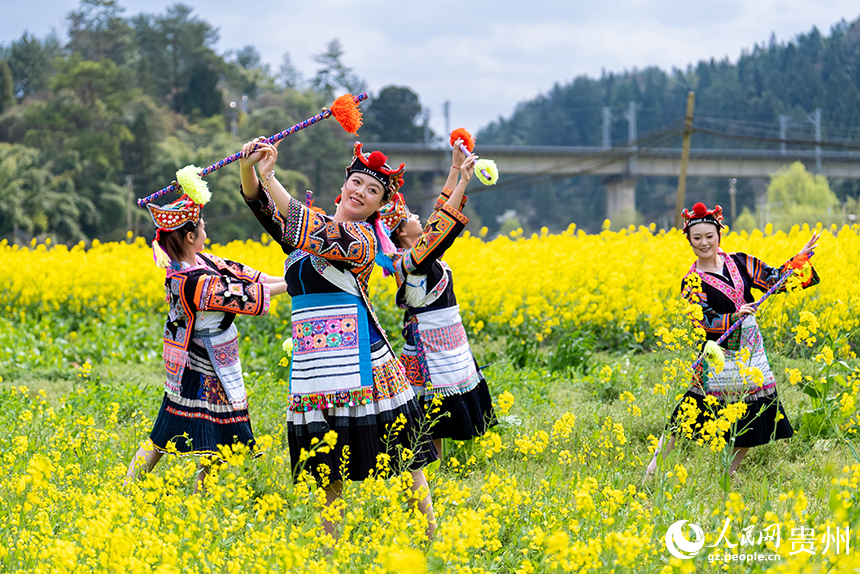 王崗村內，身穿苗族傳統服飾的姑娘在油菜花田內跳苗族花棍舞。人民網記者 涂敏攝