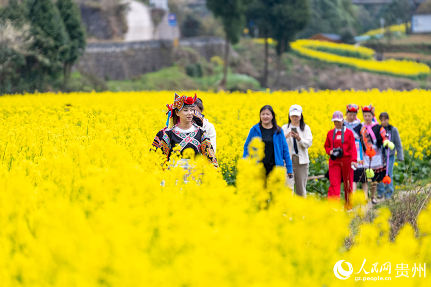 游客在王崗村油菜花田內(nèi)游覽。人民網(wǎng)記者 涂敏攝