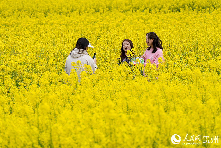 游客在王崗村油菜花田內拍攝視頻。人民網記者 涂敏攝
