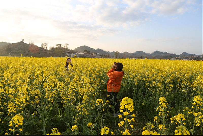 游客拍照打卡。主辦方供圖