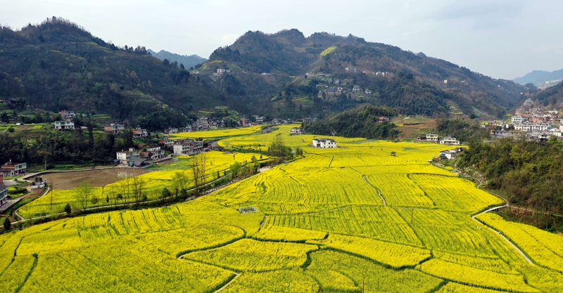 2、溫水梨園壩。羅金 攝.jpg