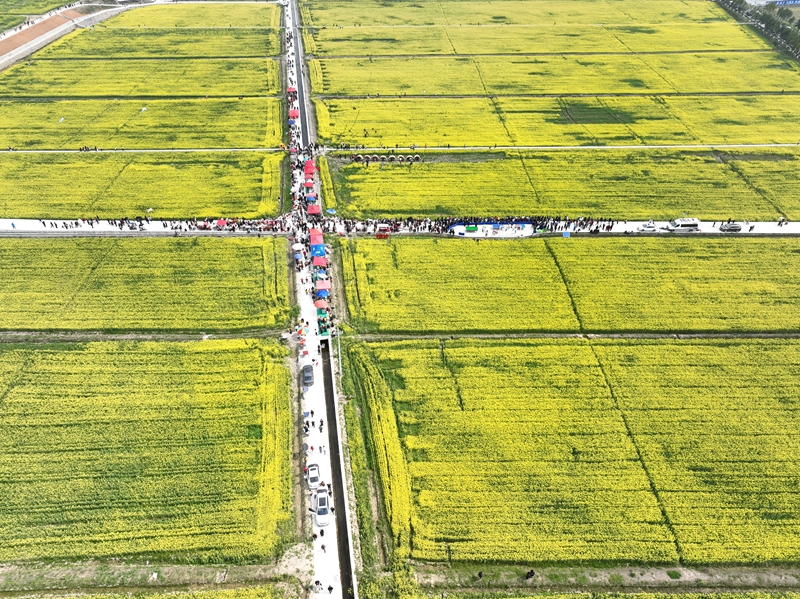 景遇小球嘉年華活動(dòng)現(xiàn)場(chǎng)。