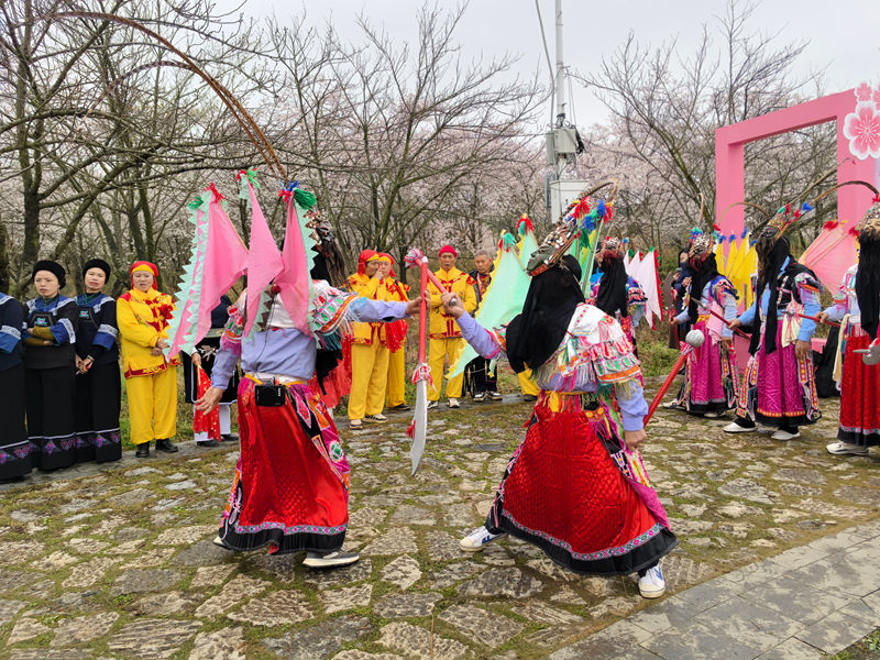 平壩文藝演出在貴安櫻花園上演。