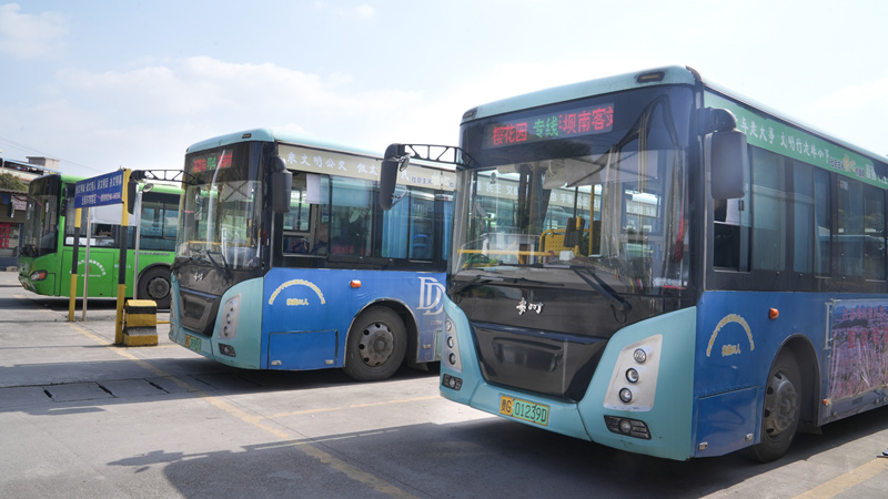 平壩“公交+旅游”解鎖賞花新體驗。