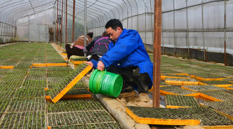 雞場“椒”響曲。