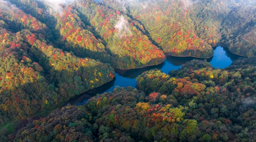 寬闊水國家級自然保護(hù)區(qū)景色。