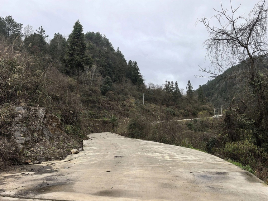 紅河村林區道路硬化后，既方便村民出行，也利于森林巡護。