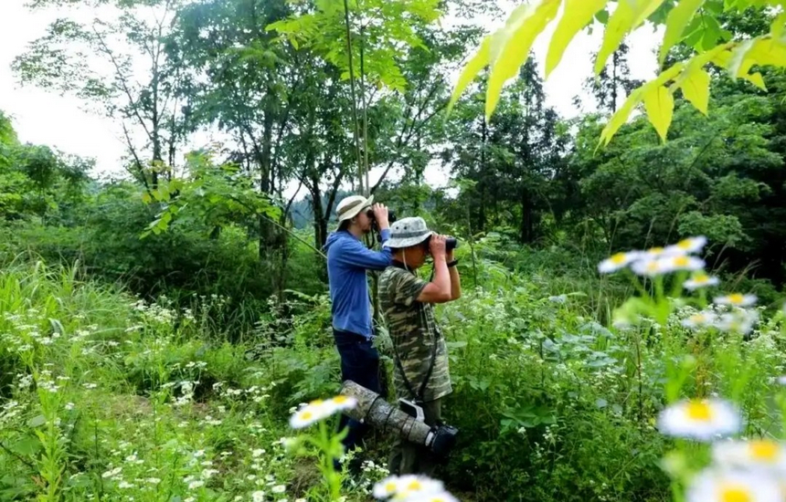 觀鳥愛好者在寬闊水保護區觀鳥、拍攝。
