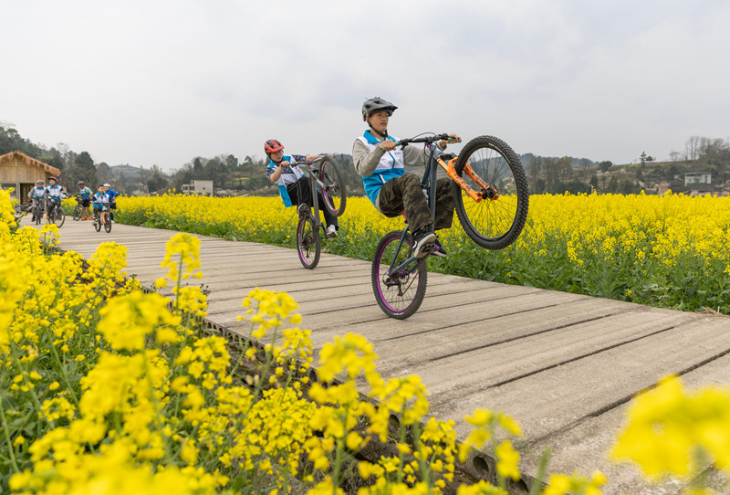 騎行愛好者在貴州省黔東南苗族侗族自治州施秉縣城關鎮上翁哨村油菜花田間騎行。