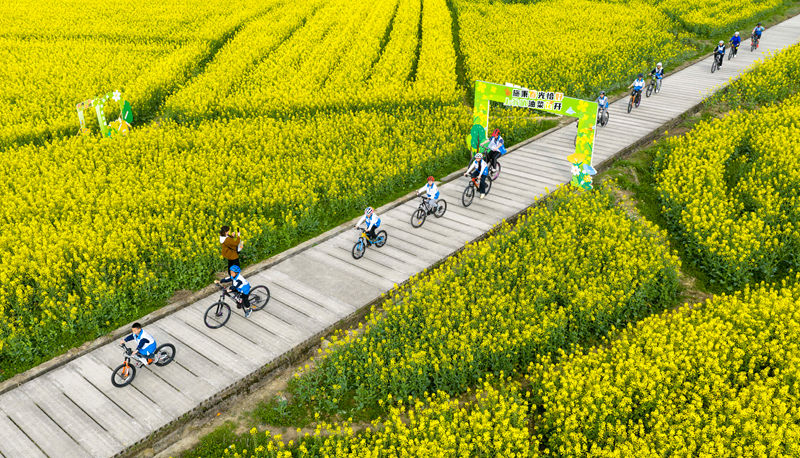 騎行愛好者在貴州省黔東南苗族侗族自治州施秉縣城關(guān)鎮(zhèn)上翁哨村油菜花田間騎行。