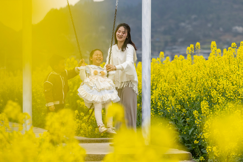 小朋友在貴州省黔東南苗族侗族自治州施秉縣城關鎮上翁哨村油菜花田中蕩秋千。