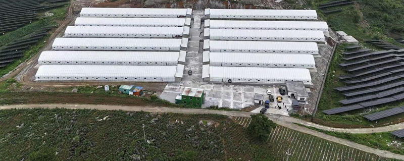 航拍高硐村眾創園養殖基地.jpg