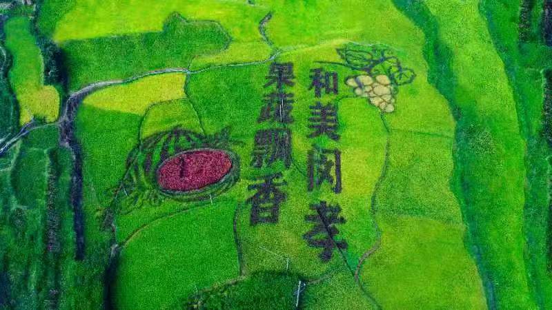 1.“和美閔孝 果蔬飄香”。.jpg