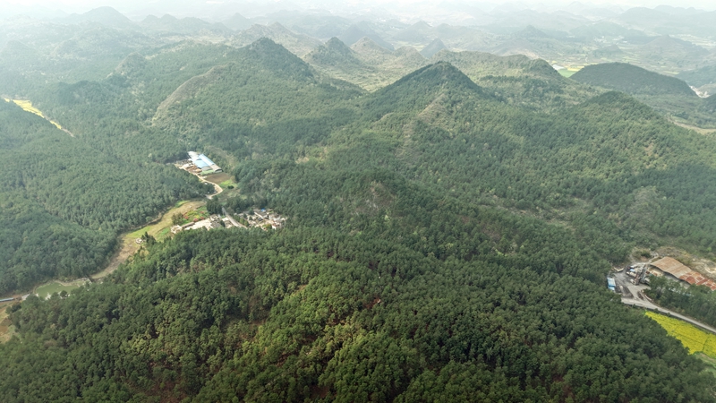 深耕“林下經(jīng)濟”，打造“綠色銀行” 。