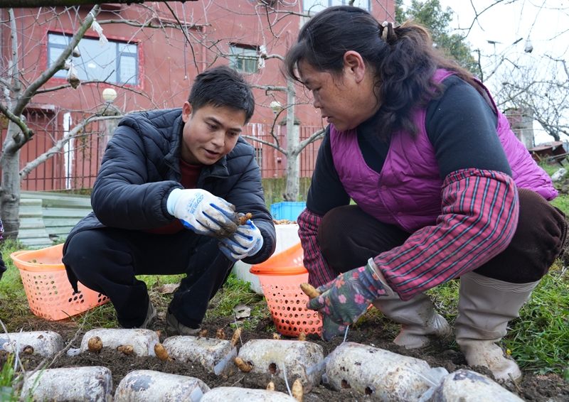 深耕“林下經(jīng)濟”，打造“綠色銀行” 。