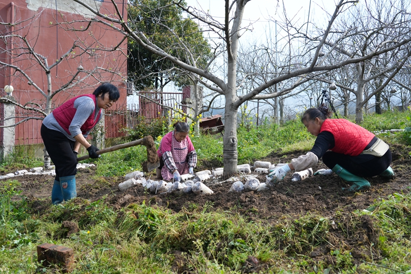 深耕“林下經(jīng)濟”，打造“綠色銀行” 。