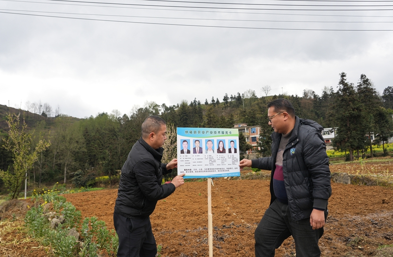 2026年3月18日,貴州省畢節(jié)市納雍縣玉龍壩果幾蓋社區(qū)馬鈴薯種植基地,縣農(nóng)業(yè)農(nóng)村局工作員在安裝農(nóng)業(yè)產(chǎn)業(yè)技術(shù)服務(wù)卡。 楊英 攝.jpg