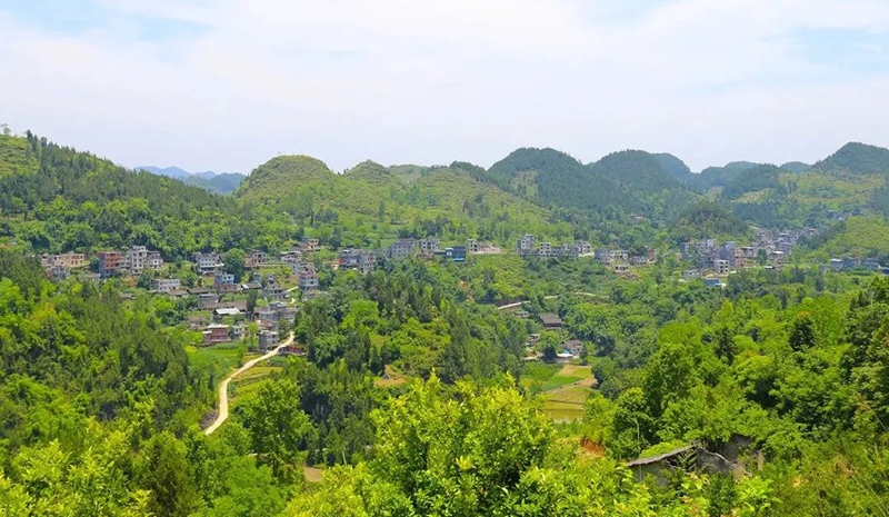甘溪鎮(zhèn)陽春村。
