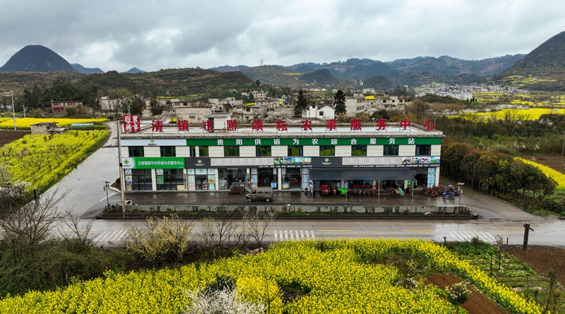 清鎮市黔頌耘農事服務中心。陸勁松 攝 (2)