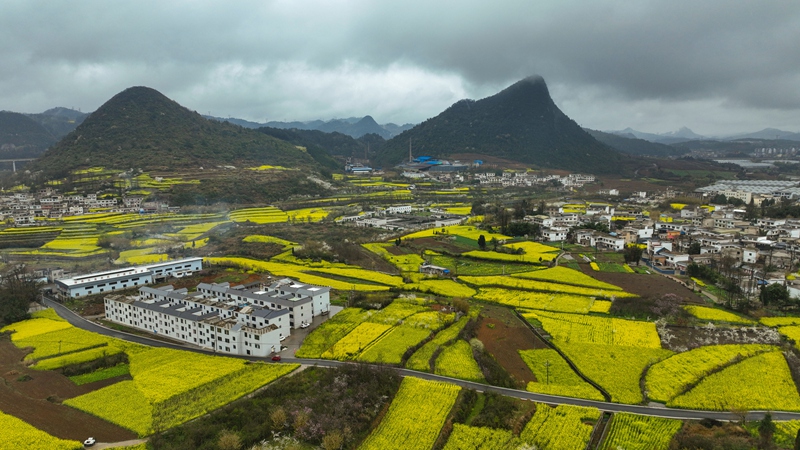 衛城鎮犀牛村一隅。陸勁松 攝