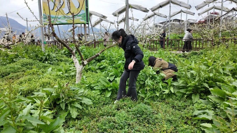 5、農事體驗活動現場。