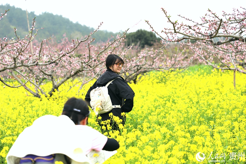 游客在油菜花田與桃林間打卡拍照。人民網 龍章榆 攝
