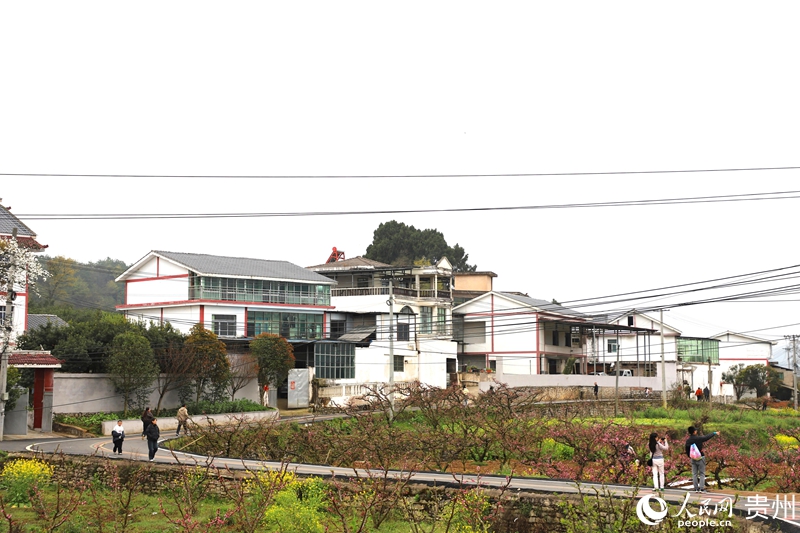 永樂鄉白墻黛瓦的民居與桃林賽道相映。人民網 龍章榆 攝
