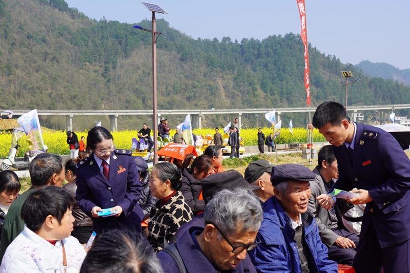 圖片2花海映春光 稅法伴同行