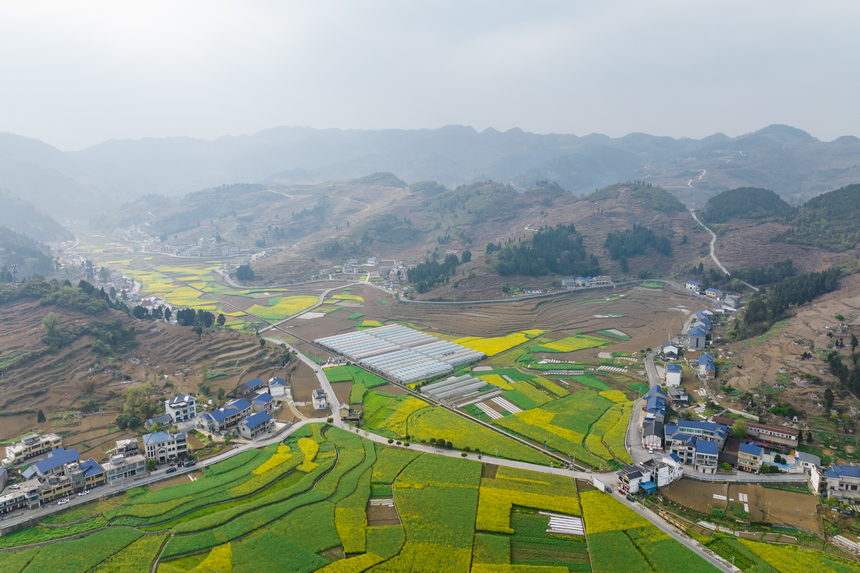航拍貴州省仁懷市茅壩鎮(zhèn)官院村。人民網(wǎng)記者 涂敏攝