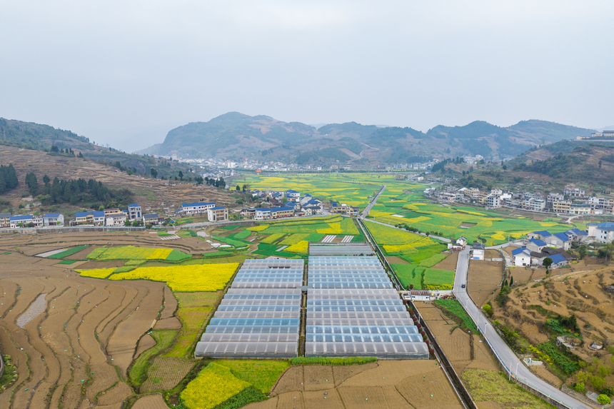 航拍貴州省仁懷市茅壩鎮官院村。人民網記者 涂敏攝