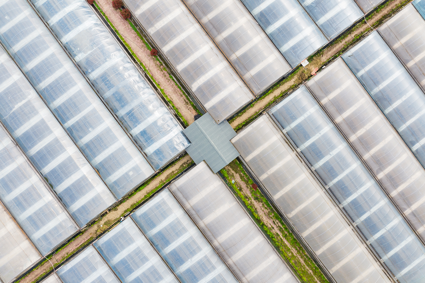 航拍貴州省仁懷市茅壩鎮官院村無公害蔬菜示范園。人民網記者 涂敏攝