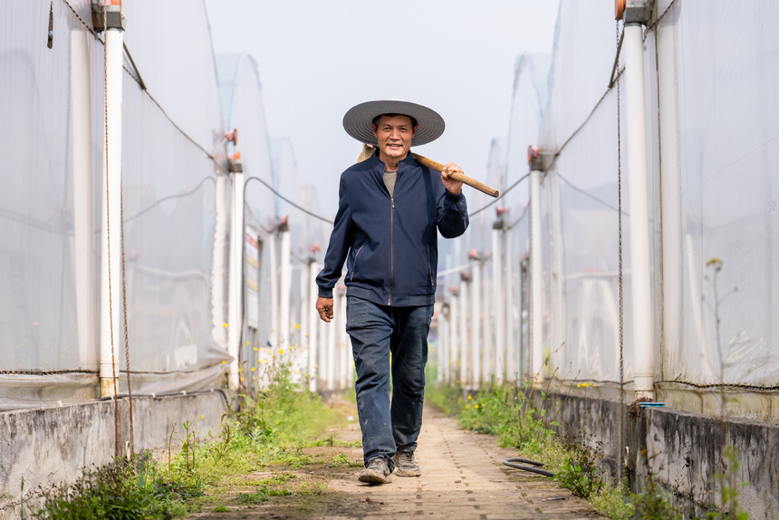 工人正前往大棚內鋪設滴灌管道。人民網記者 涂敏攝