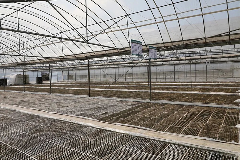 圖為:育苗場