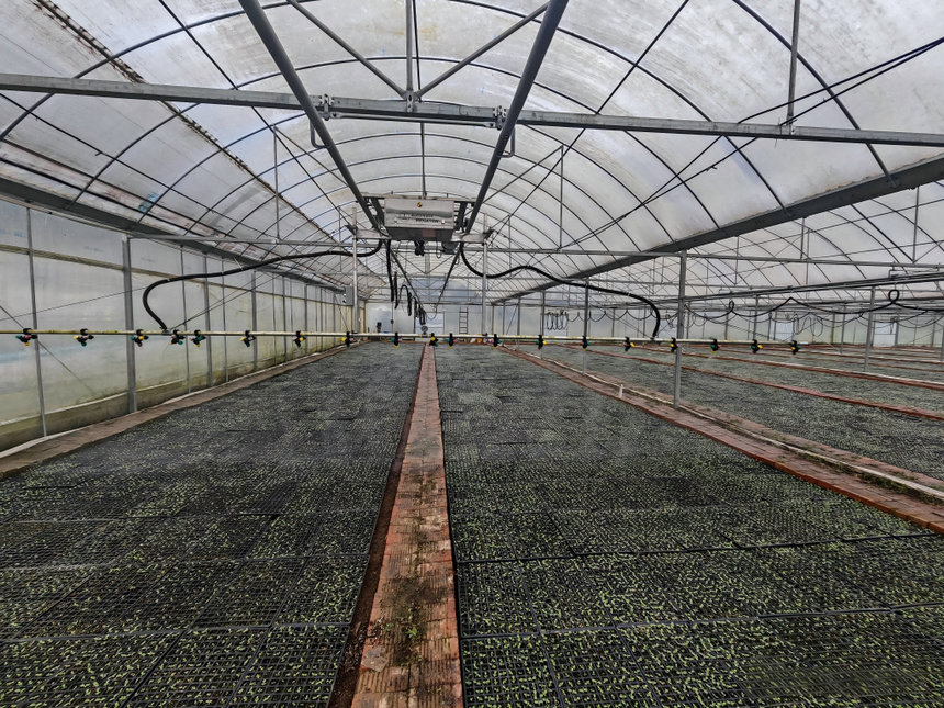 軌道式噴淋設備就位,守護烤煙育苗春耕生產。謝永恒攝