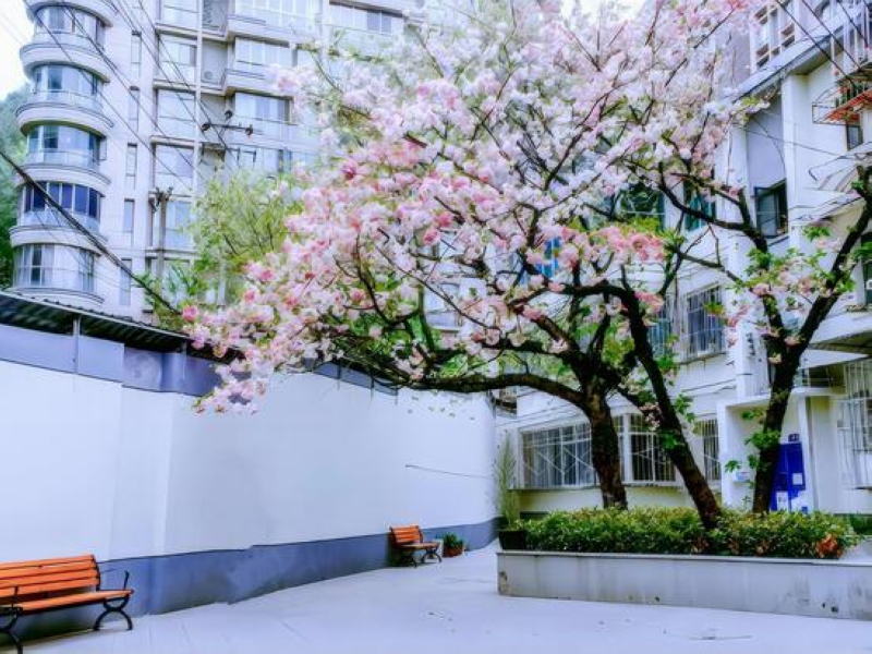 水電九局承接的城市更新工程。