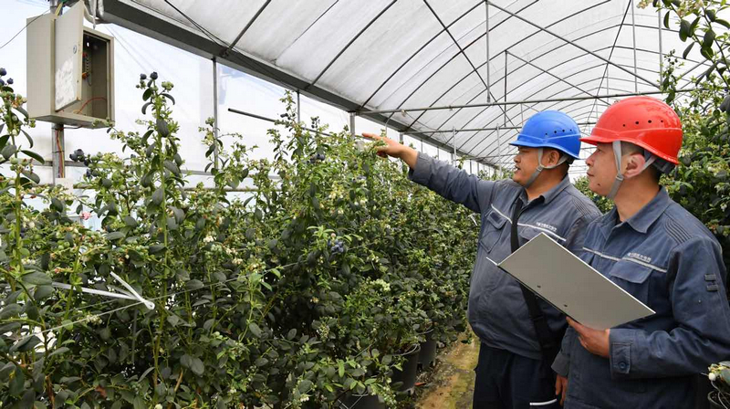 工作人員幫客戶檢查線路。