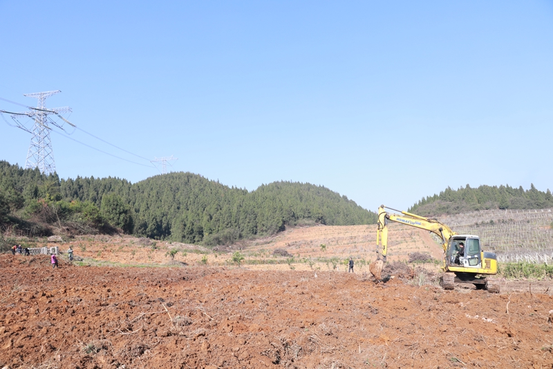 挖掘機正在平整土地。  彭慶攝.JPG