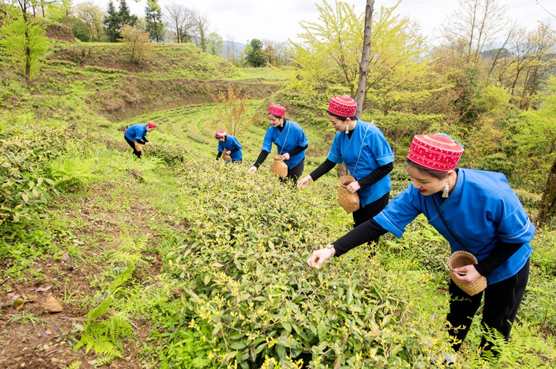 貴州黃平：“村字號(hào)”IP“云上有山·村影”即將啟幕 (1)