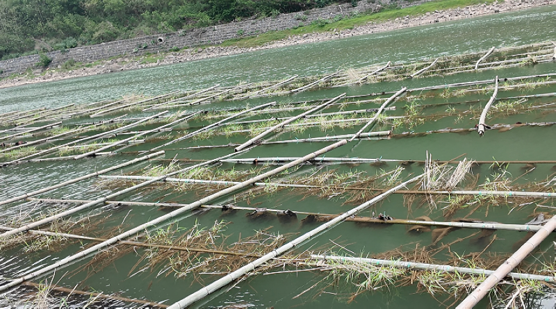 利用原生態(tài)材料建立的生態(tài)“產(chǎn)房”。稅會(huì)靜攝