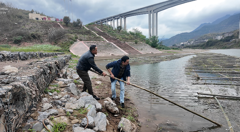 工作人員現(xiàn)場(chǎng)查看魚巢。稅會(huì)靜攝