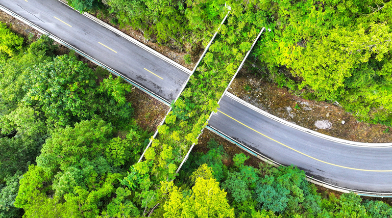 貴州梵凈山國家級自然保護區(qū)兩岔河動物廊道。李鶴攝