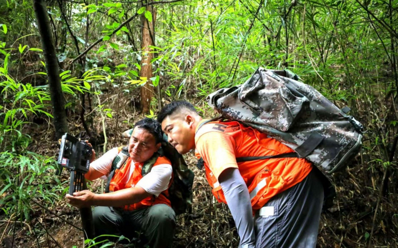 護林員在貴州梵凈山國家級自然保護區(qū)給紅外相機更換電池。李鶴攝