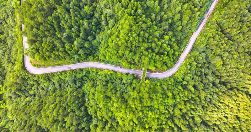 貴州梵凈山國家級自然保護區(qū)兩岔河動物廊道。李鶴攝