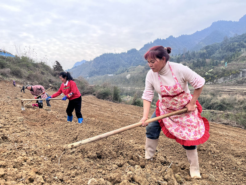 項目建設正當時 產(chǎn)業(yè)交通雙線發(fā)力。