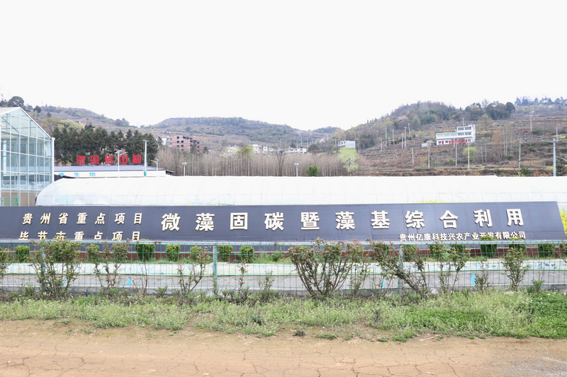 貴州億康科技興農產業開發有限公司。李金苗攝