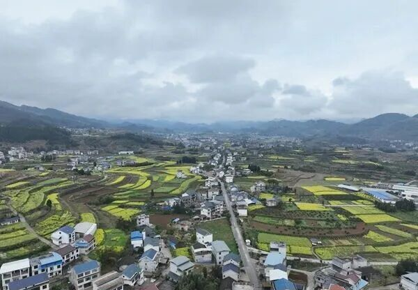 貴州松桃：一域“青山”美 全域鄉村興。