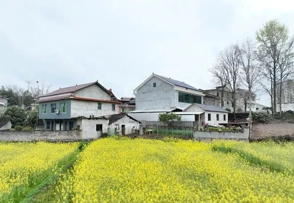 貴州松桃：一域“青山”美 全域鄉村興。