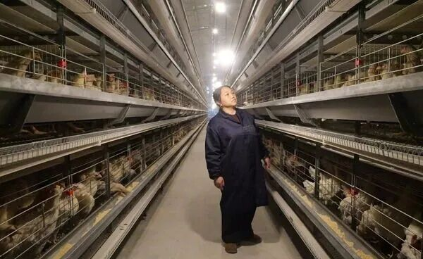 貴州松桃：一域“青山”美 全域鄉村興